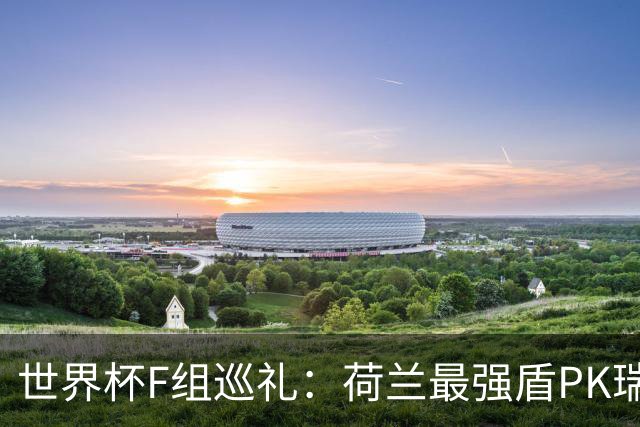 世界杯F组巡礼：荷兰最强盾PK瑞典犀利刀 日本短板明显