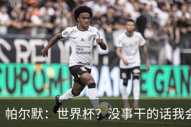 帕尔默：世界杯？没事干的话我会看看，我希望他们能走到最后