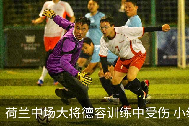 荷兰中场大将德容训练中受伤 小组赛次轮出战成疑