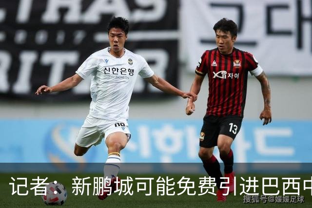 记者：新鹏城可能免费引进巴西中卫泽维尔，本科维奇会被放弃